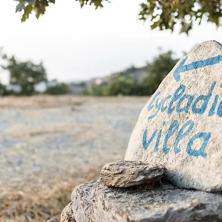 Villa Cycladic With Sea View! Ioulis